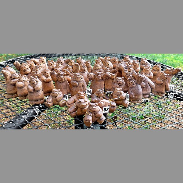 bears-0004